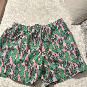 Cactus Print Men's Swim Trunks - Pink and Green